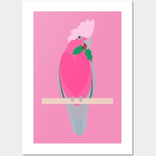 Christmas galah and holly Posters and Art